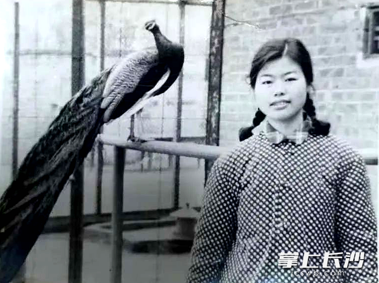 年轻时的李美香。
