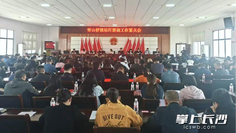 宁乡市青山桥镇开展秸秆禁烧工作紧火会，一级一级压实工作责任。受访方供图