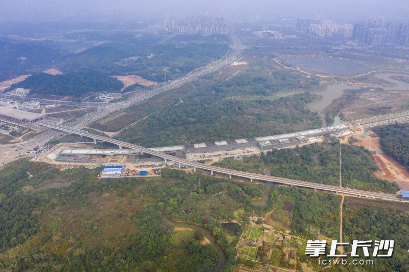 梧桐路三号桥横跨中央公园，双向6车道，目前完成60%的桥梁上部结构箱梁，预计2025年建成达到通车条件。
