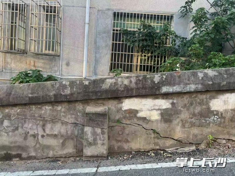 围墙开裂变“危墙”。均为受访方供图