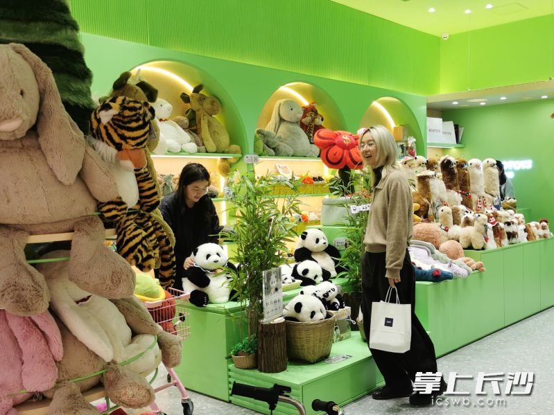 某毛绒玩具店，逼真的玩偶让人仿若置身于动物园，引来年轻人拍照打卡。