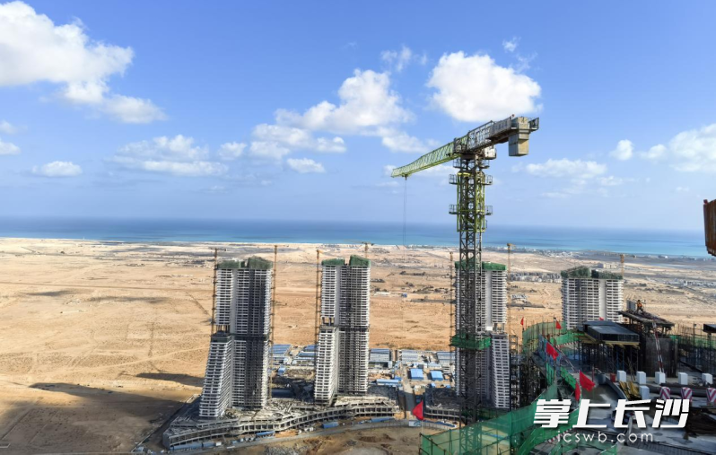 中联重科塔机助力项目标志塔封顶。 均为长沙晚报通讯员杨牧意供图