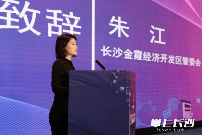 金霞经开区推介园区产业特色和营商环境。