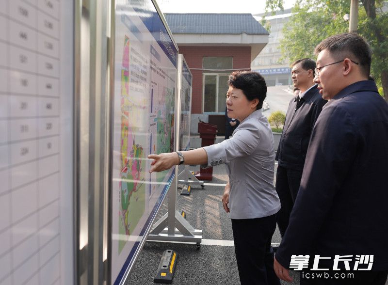 在西湖街道，吴桂英一行调研城市环境综合整治项目推进情况。