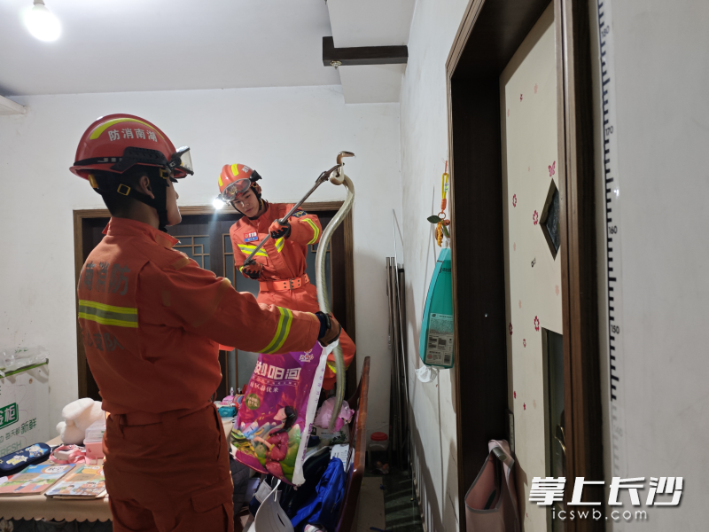消防员将爬进客厅的大蛇捕获。 长沙晚报通讯员 阮鹏霖 摄 消防员将爬进客厅的大蛇捕获。 长沙晚报通讯员 阮鹏霖 摄
