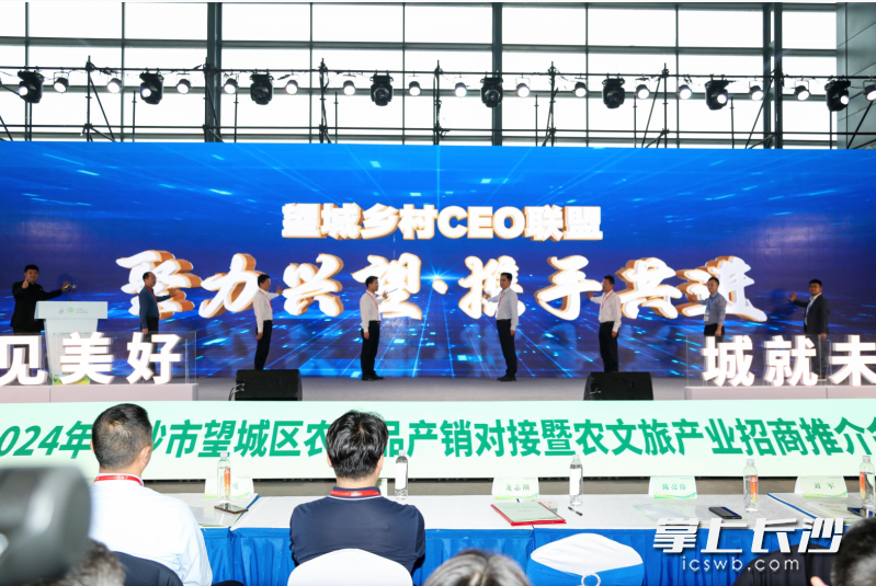 望城乡村CEO联盟成立，将打造成为中国中部地区首个乡村CEO孵化基地。   均为活动主办单位供图