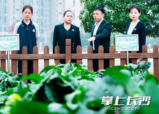 与会嘉宾参观清水塘实验学校“禾下乘凉梦”劳动实践基地。