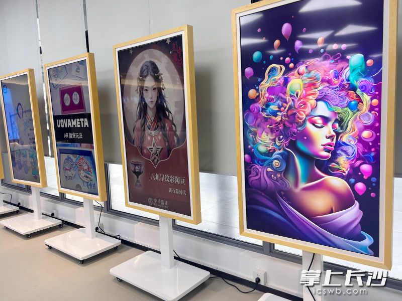 版权作品展示。长沙晚报全媒体记者 刘俊 摄