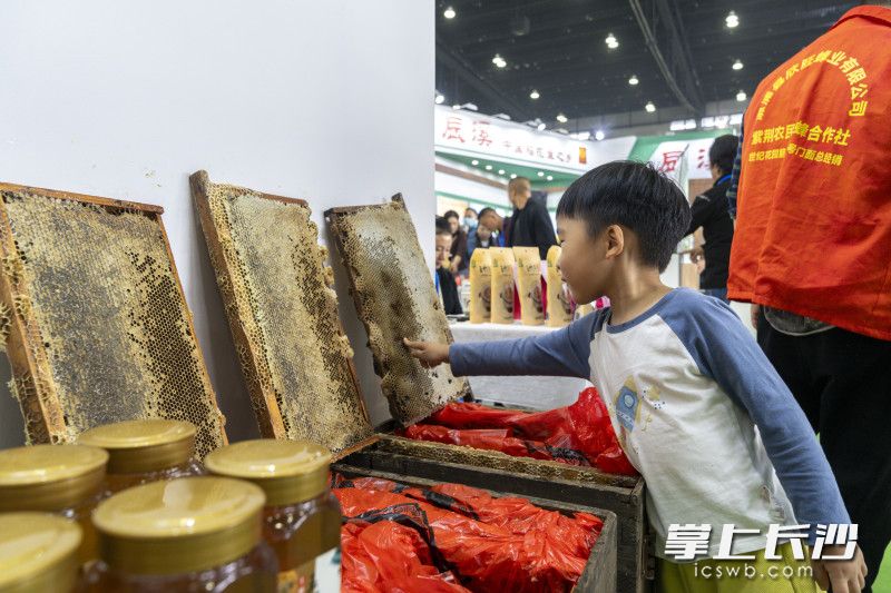 逛展的小朋友正近距离感受蜂蜜，了解食物。