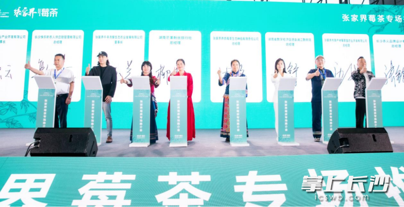 张家界莓茶专场推介会上,多家企业代表现场签约,签约金额达1330万元。 张家界莓茶专场推介会上,多家企业代表现场签约,签约金额达1330万元。