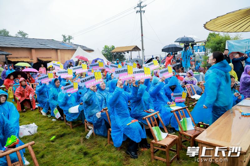 活动现场。均为主办方供图