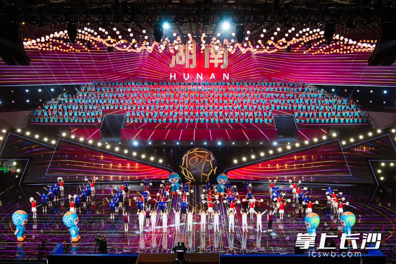 湖南代表团入场。