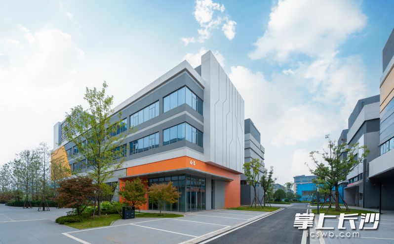 长沙中电智造园。均为长沙晚报通讯员 章帝 摄