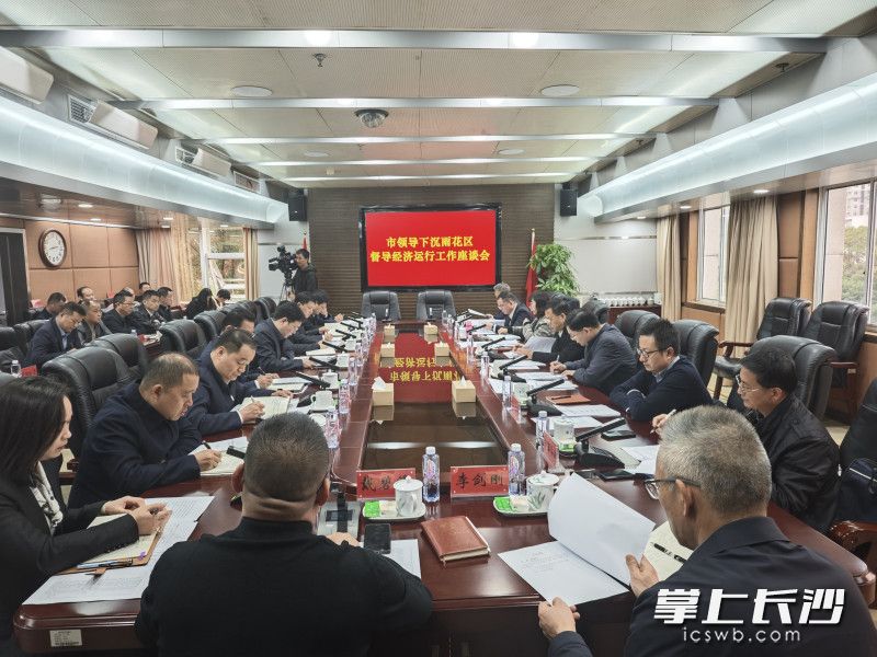 座谈会上，雨花区汇报了今年经济运行、政策落实、风险防范等重点工作进展情况。 长沙晚报全媒体记者 祝林灿 摄