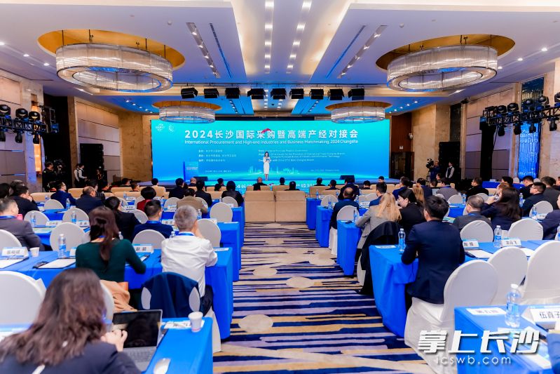 2024长沙国际采购暨高端产经对接会开幕式现场。  均为组委会供图