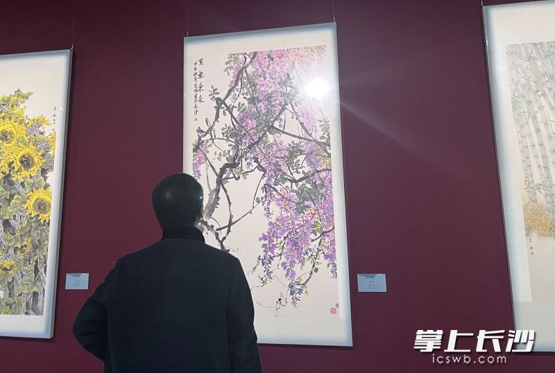观众赏画现场。