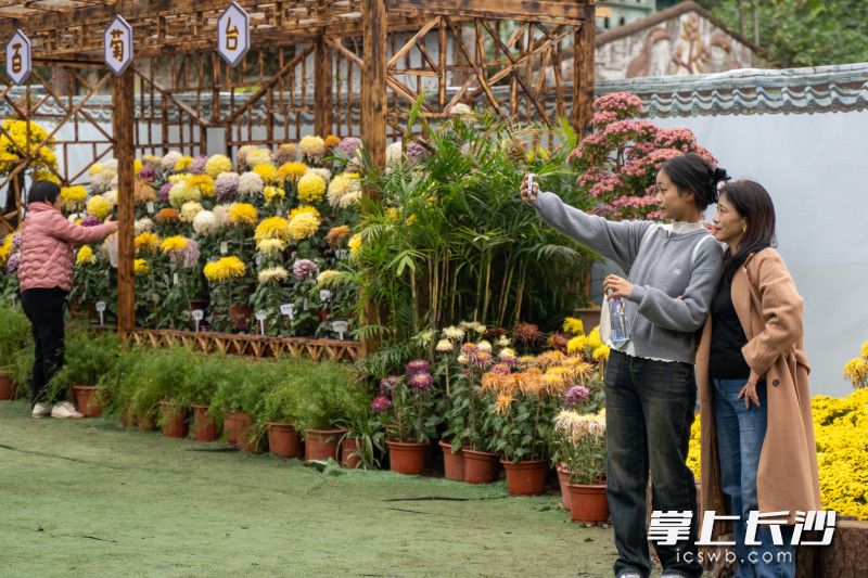 现场吸引着不同年龄阶层的游客打卡，大家打卡的方式也各不相同。均为全媒体记者冯启阳摄