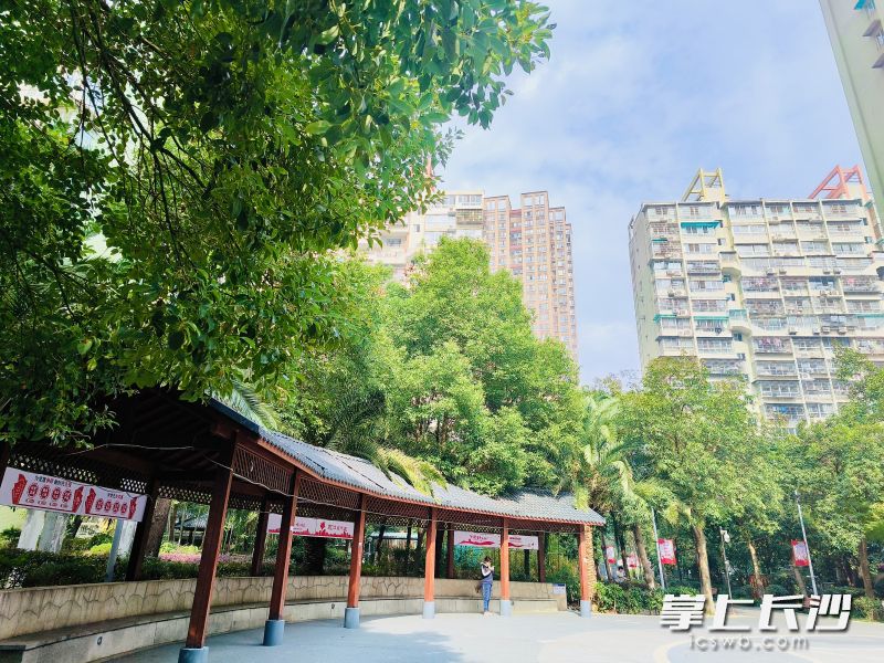 四季美景水木轩小区。  均为长沙晚报全媒体记者李卓摄