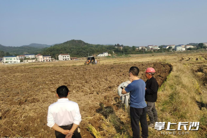 宁乡市黄材镇政府网格干部来到田间地头、村民小院，现场调解矛盾纠纷。 均为受访方供图