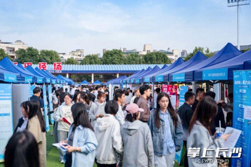 今年来，新区持续强化高校毕业生就业服务。