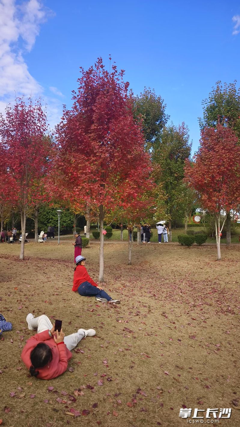 为了拍出最佳效果,市民也是拼了。 为了拍出最佳效果,市民也是拼了。