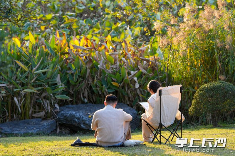 市民坐在湖边，尽情沐浴在金色的阳光下。