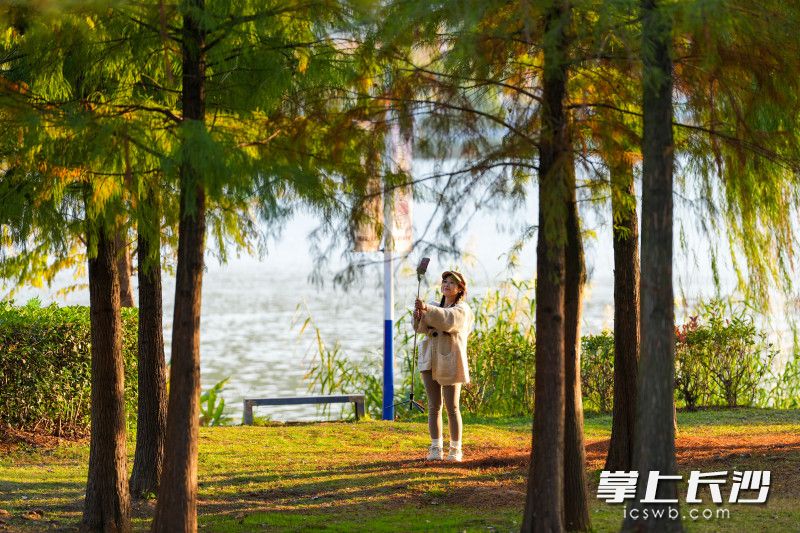 久违的太阳回来了，一位市民在西湖旁与阳光“合影”。 均为长沙晚报全媒体记者郭雨滴摄