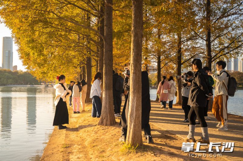 市民在公园内拍照打卡。