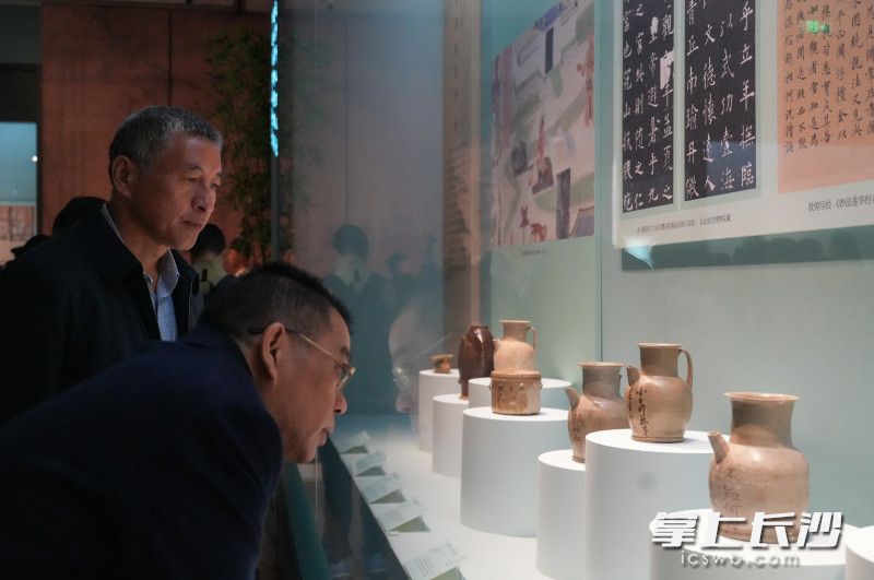 文博爱好者正在观看展览。均为长沙晚报全媒体记者 邹麟 摄