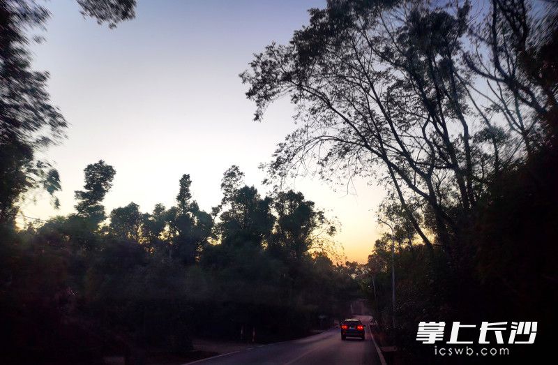 12月1日晚，记者开车跟随曹艳军夜访养鸡户。均为长沙晚报全媒体记者 贺文兵 摄