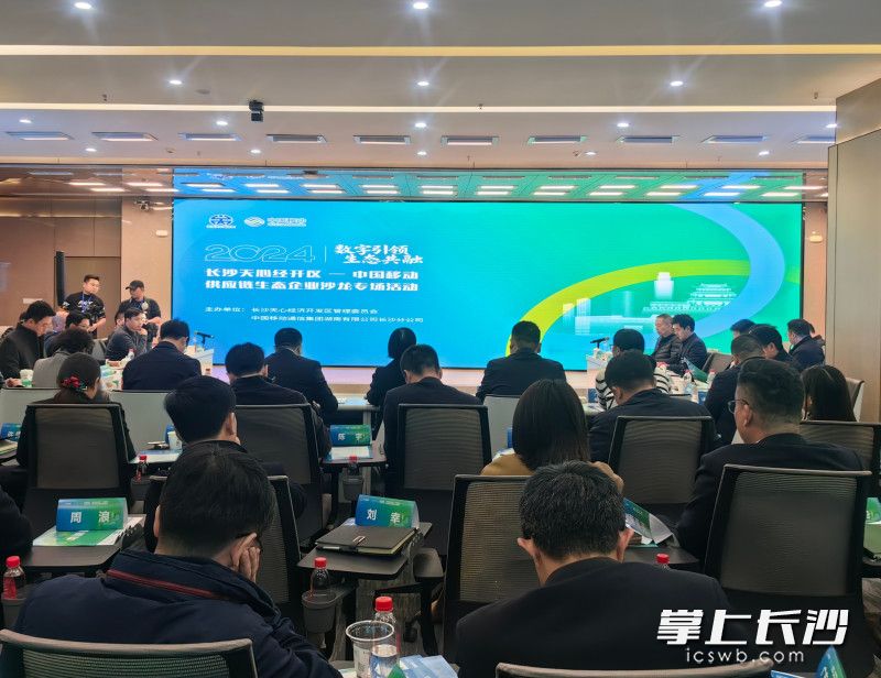 活动现场。 均为长沙晚报全媒体记者匡小娟摄