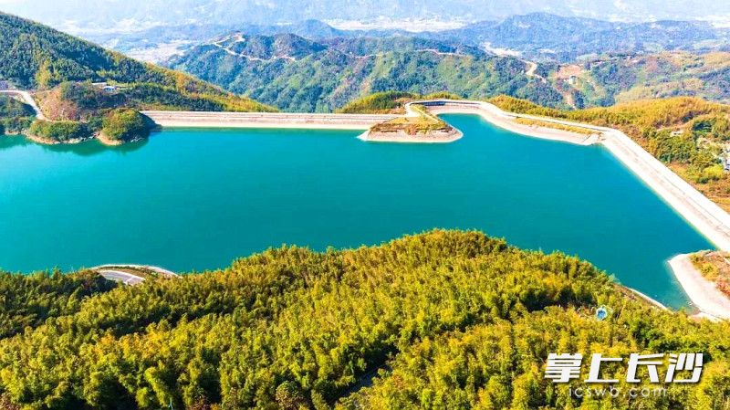 黑麋峰层林尽染，景如画中生。 均为长沙晚报全媒体记者贺文兵、通讯员龙宇摄