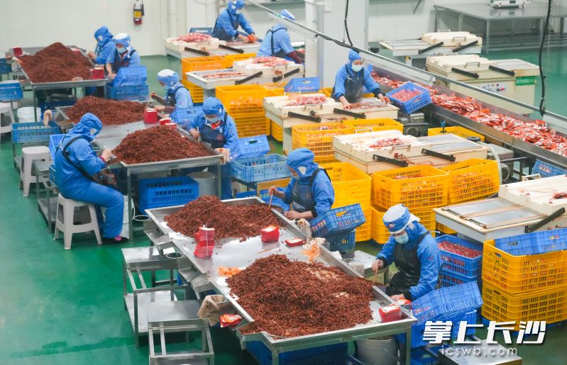 在庆湘食品极富人情味的“人工组”，从年轻时来厂、现在50多岁的老员工们依然在岗。