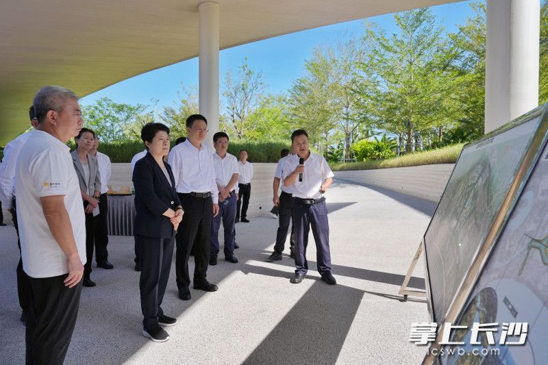 三亚市海棠河生态公园考察现场。