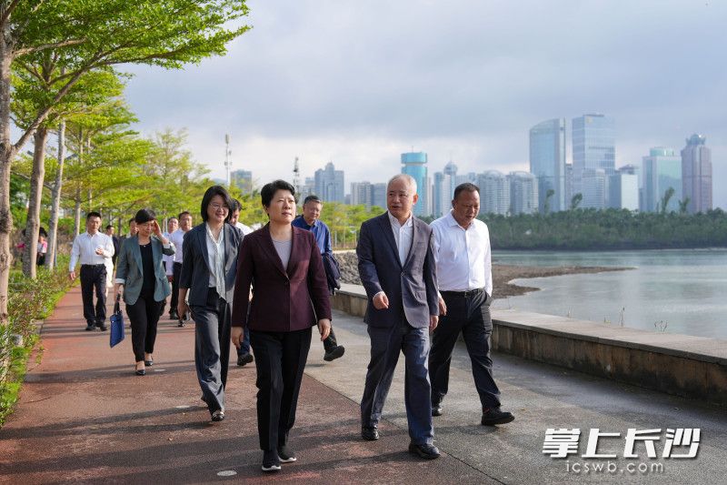 12月2日，省委常委、市委书记吴桂英率团来到海南省海口市学习考察，走进海口湾畅通工程现场。