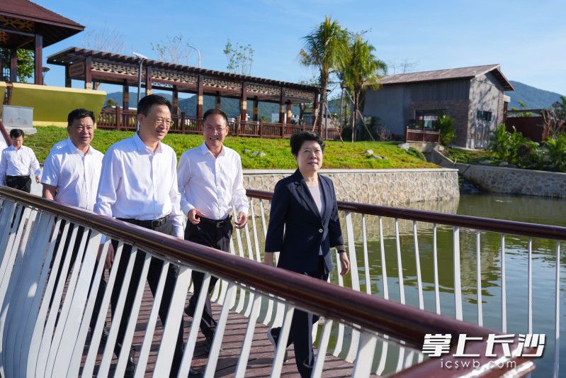 三亚市吉阳区博后村考察现场。