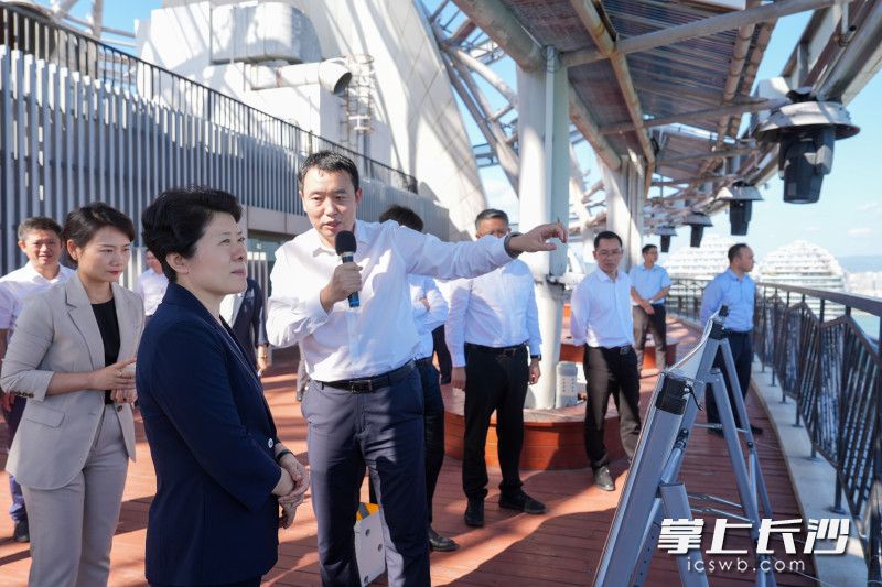 三亚中央商务区管理局考察现场。 均为长沙晚报全媒体记者郭雨滴摄