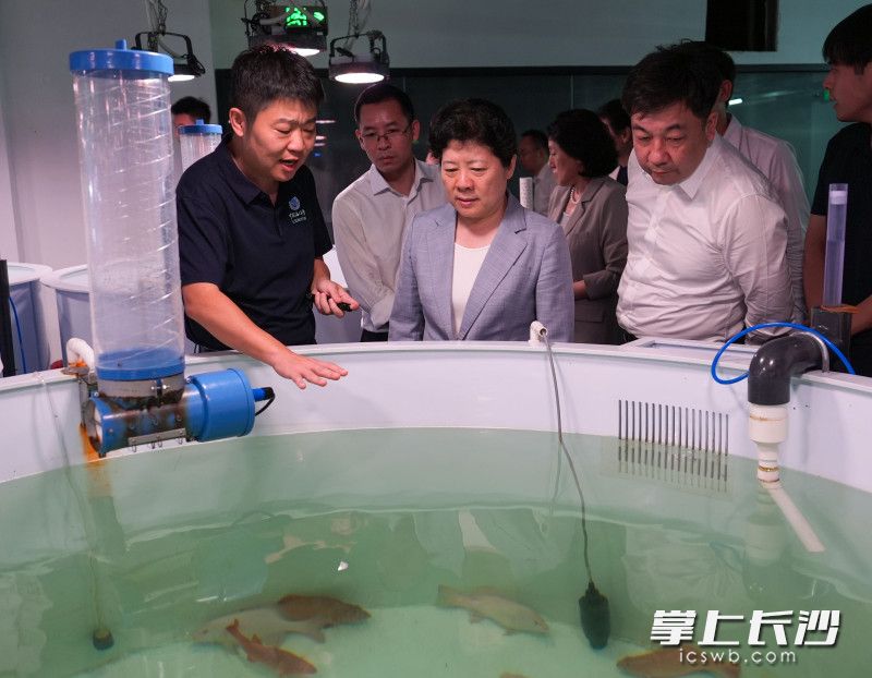吴桂英一行在三亚市考察深海科技创新公共平台。