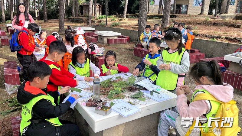 去年，孩子们在参加种子趣行研学活动。