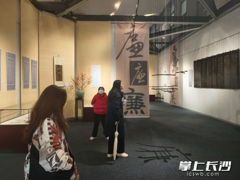 市民观展 市民观展