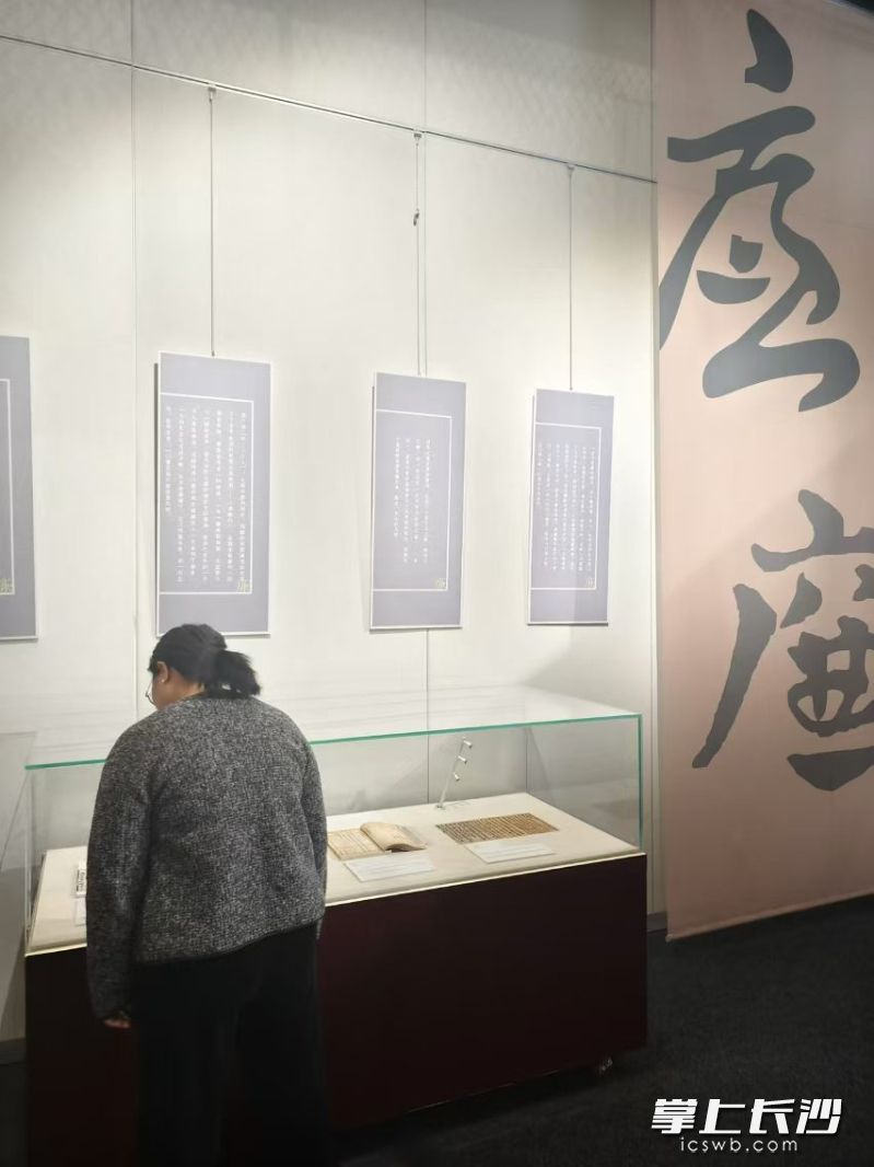 展览现场。均为长沙晚报全媒体记者 宁莎鸥 摄 展览现场。均为长沙晚报全媒体记者 宁莎鸥 摄