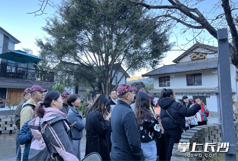“天心红”人才云南疗养交流活动，不仅是一次身心的放松，更是一次思想的充电。