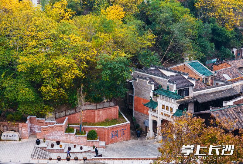 成片的树叶由绿变红、变黄，如同给山脚下的铜官老街盖上了一床色彩斑斓的“花棉被”。均为长沙晚报全媒体记者 郭雨滴 摄