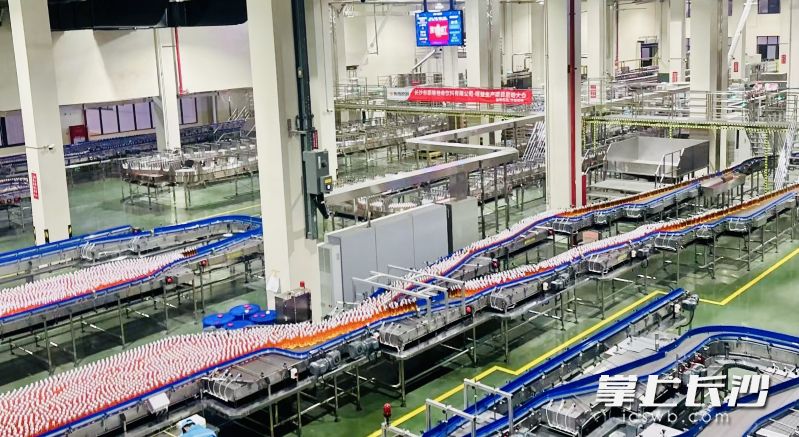 东鹏饮料长沙基地自动化智能生产线。
