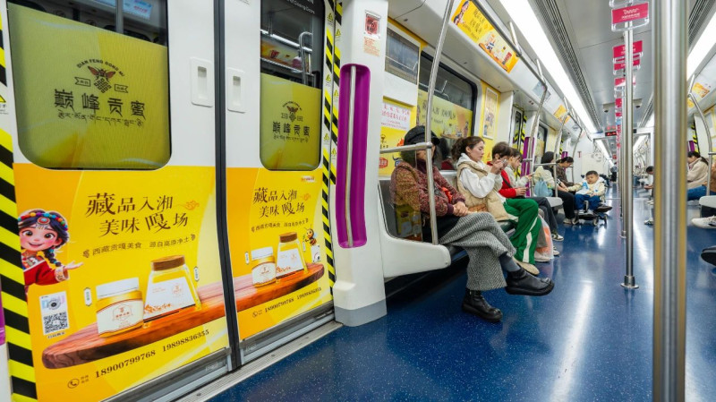 巅峰贡蜜登上长沙地铁。资料图片