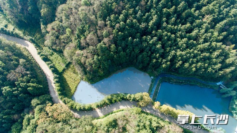 麻林温泉处于大山冲森林公园的怀抱之中，山水相依。