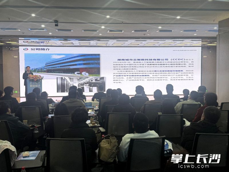 路演现场。
