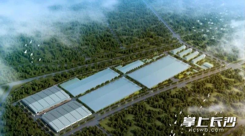 海信长沙综合生产基地效果图。宁乡经开区 供图