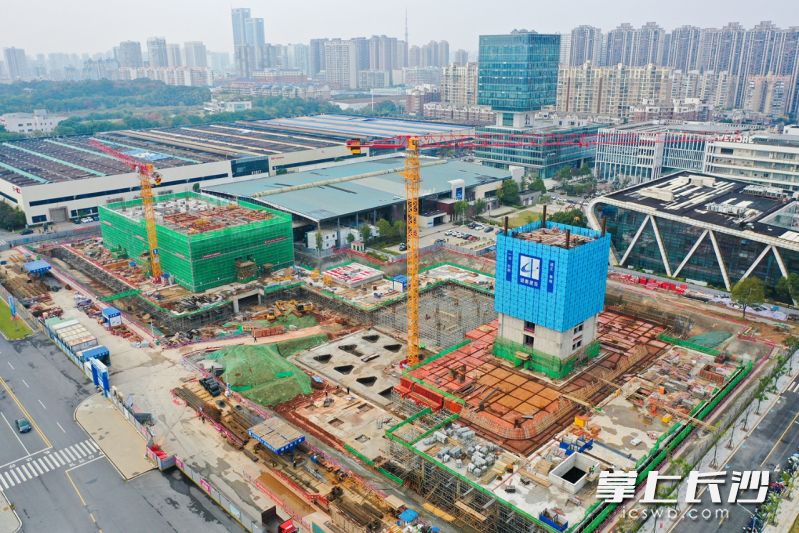 人工智能科创园（二期）项目现场。长沙晚报通讯员 舒展 摄