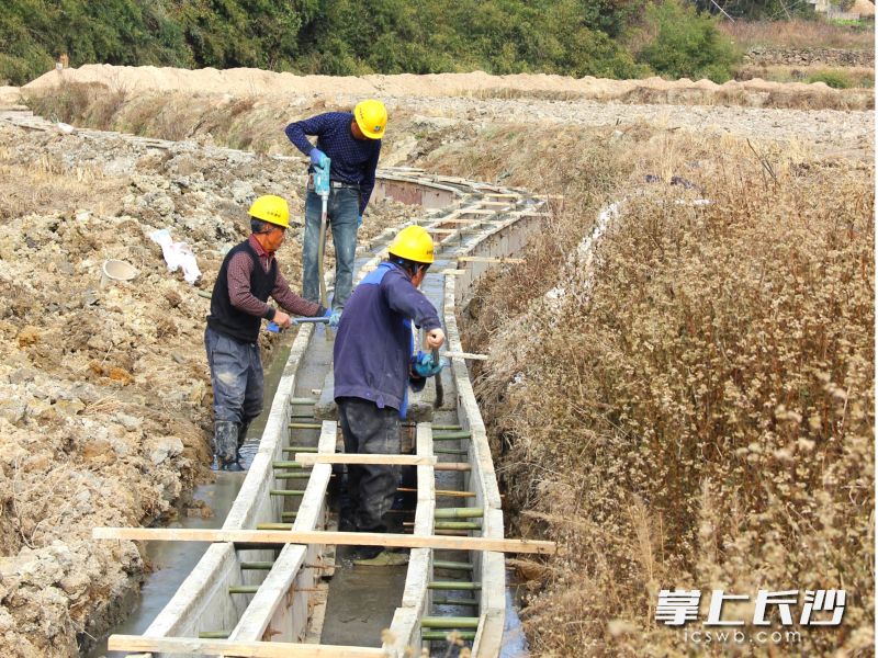 12月17日，在宁乡市老粮仓镇望江村的田间，工人们正在建设小农水项目的水渠。 均为长沙晚报通讯员唐敏供图